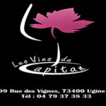https://www.vinsducapitan.com/